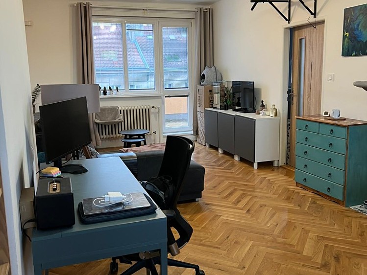 Pronájem bytu 2+1 86 m² (Jednopodlažní) - foto 5