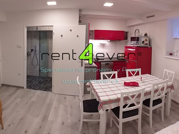 Pronájem bytu 1+kk 25 m² - foto 1