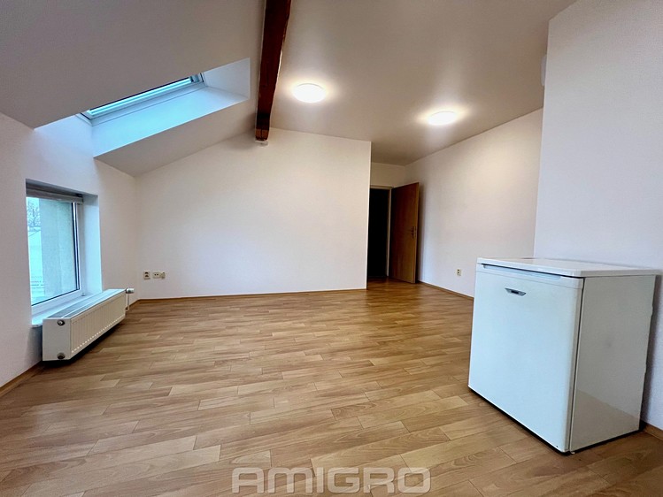 Pronájem bytu 2+kk 47 m² - foto 4