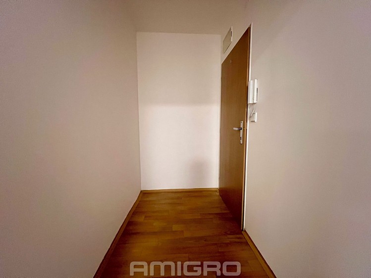 Pronájem bytu 2+kk 47 m² - foto 8