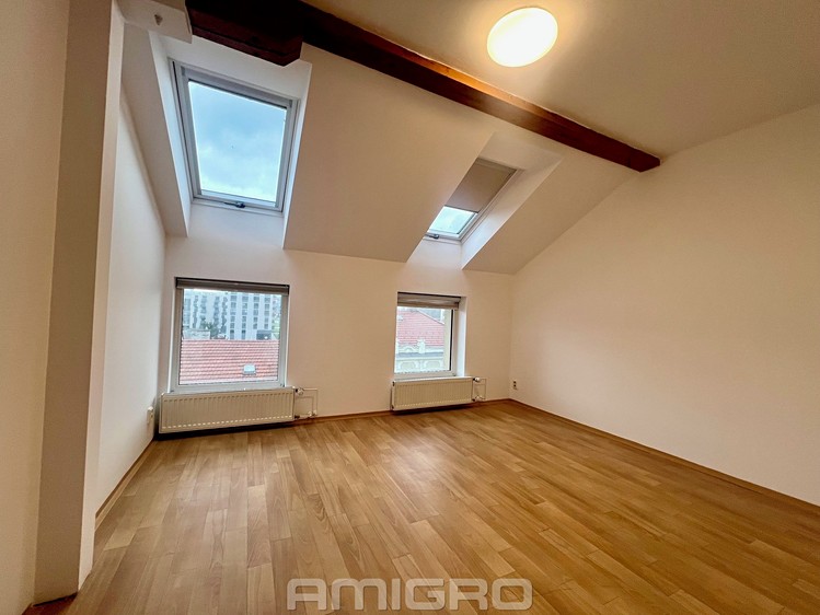 Pronájem bytu 2+kk 47 m² - foto 6