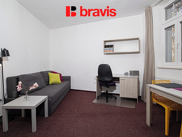 Pronájem bytu 1+kk 24 m² - foto 7