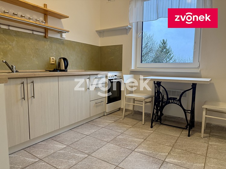 Pronájem bytu 1+1 40 m² - foto 8
