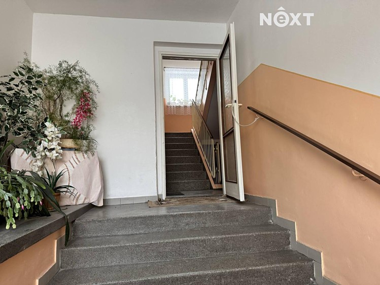Pronájem bytu 1+1 45 m² (Jednopodlažní) - foto 2