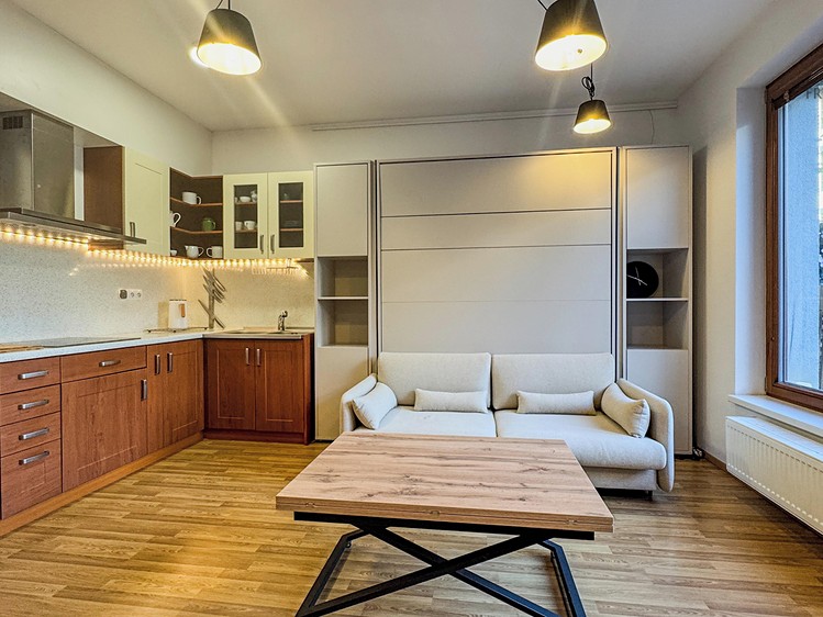 Pronájem bytu 1+kk 32 m² (Jednopodlažní) - foto 3
