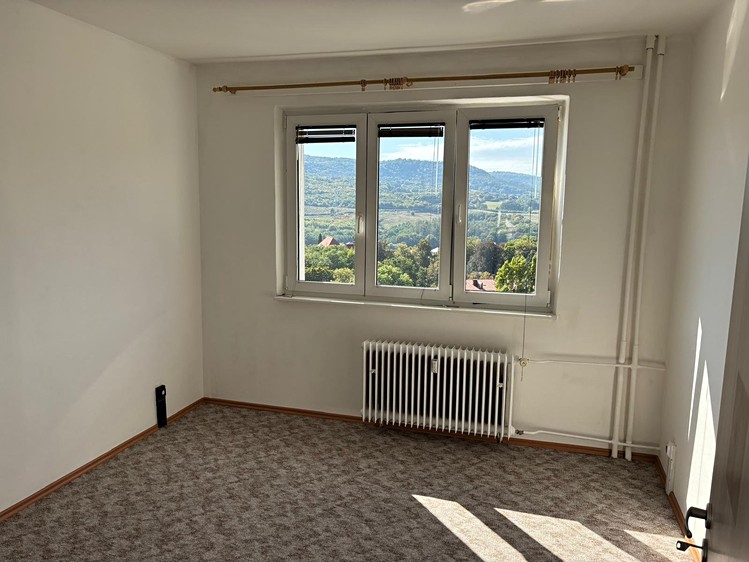 Pronájem bytu 3+1 68 m² - foto 7
