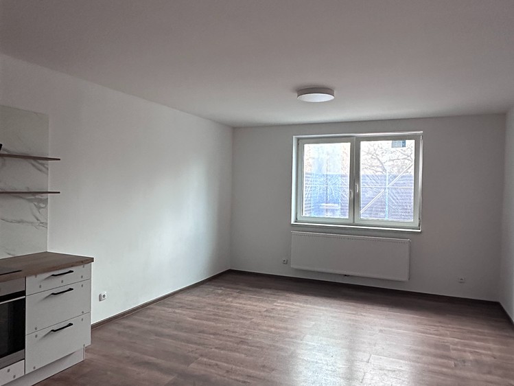 Pronájem bytu 1+kk 41 m² (Jednopodlažní) - foto 3