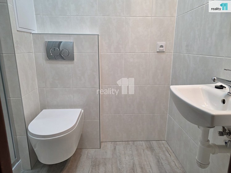 Pronájem bytu 2+1 54 m² - foto 8