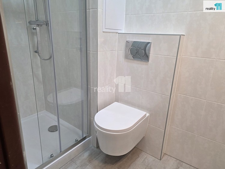 Pronájem bytu 2+1 54 m² - foto 7