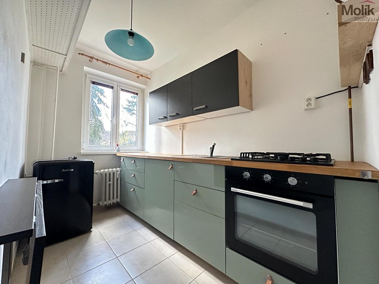 Pronájem bytu 1+1 33 m² - foto 4