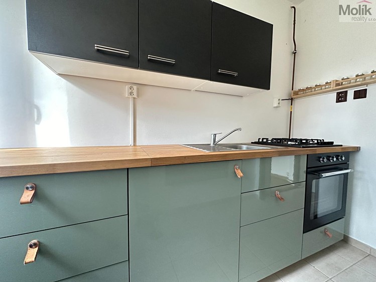 Pronájem bytu 1+1 33 m² - foto 5