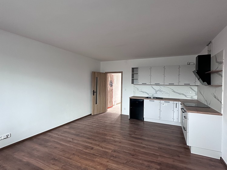 Pronájem bytu 1+kk 41 m² (Jednopodlažní) - foto 7