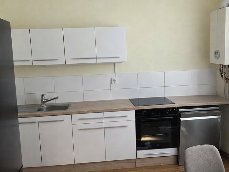 Pronájem bytu 3+1 73 m² (Podkrovní) - foto 4