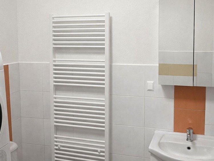 Pronájem bytu 3+1 73 m² (Podkrovní) - foto 6