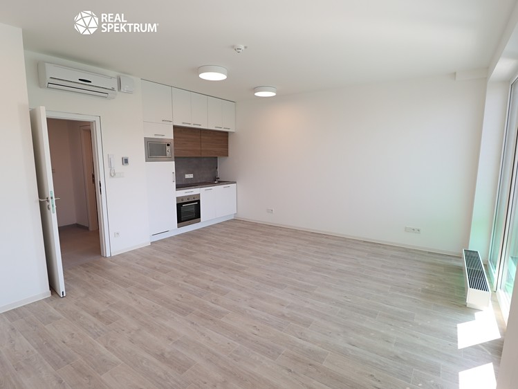 Pronájem bytu 1+kk 42 m² - foto 3