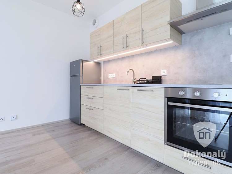 Pronájem bytu 1+kk 29 m² - foto 4