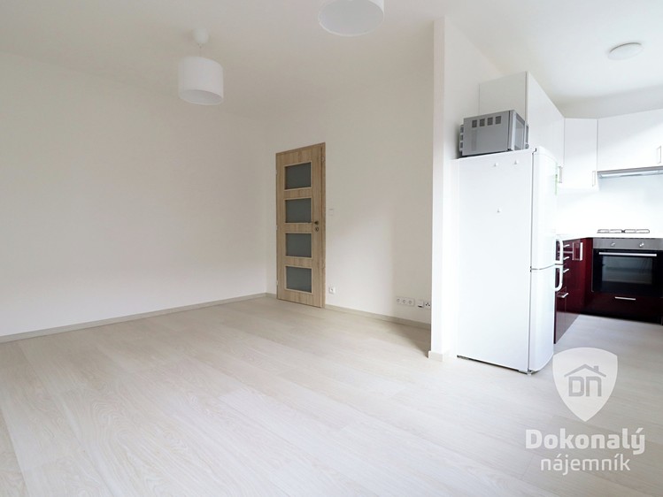 Pronájem bytu 1+1 27 m² - foto 4