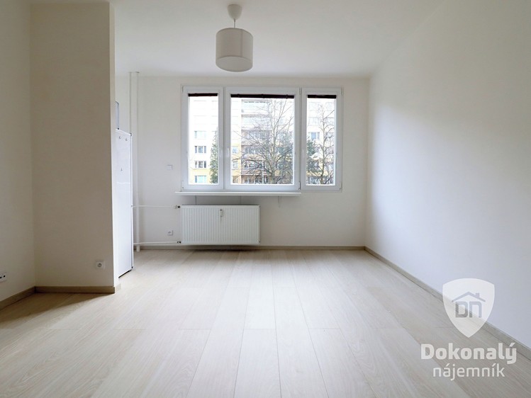 Pronájem bytu 1+1 27 m² - foto 7