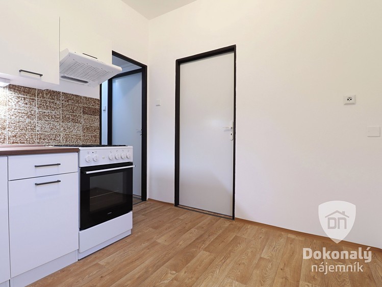 Pronájem bytu 2+1 49 m² - foto 4