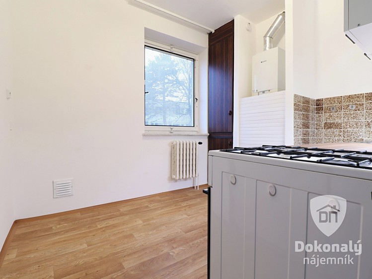 Pronájem bytu 2+1 49 m² - foto 5