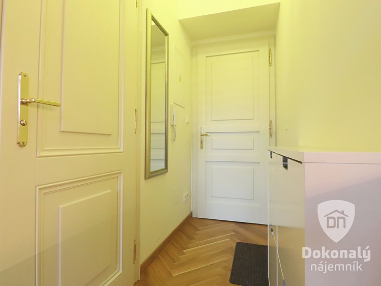 Pronájem bytu 1+kk 21 m² - foto 3