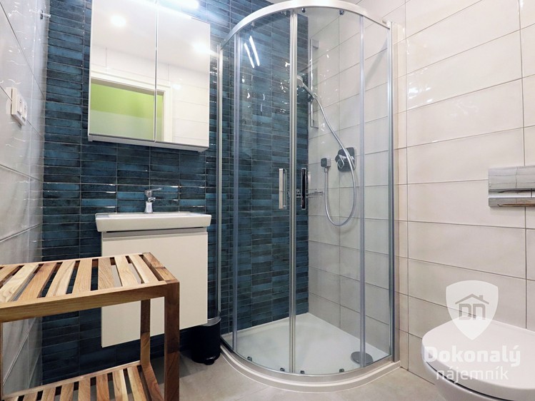 Pronájem bytu 1+kk 21 m² - foto 4