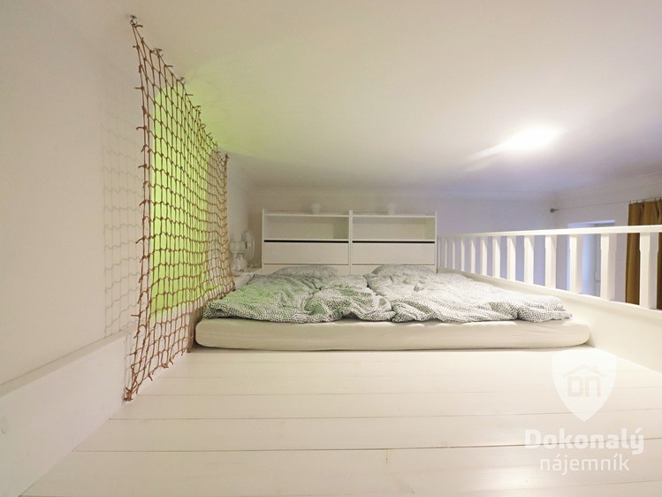 Pronájem bytu 1+kk 21 m² - foto 8