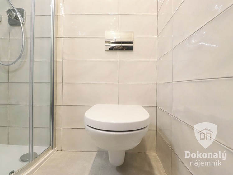 Pronájem bytu 1+kk 21 m² - foto 5