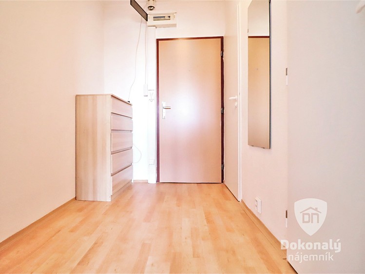 Pronájem bytu 1+kk 39 m² - foto 4
