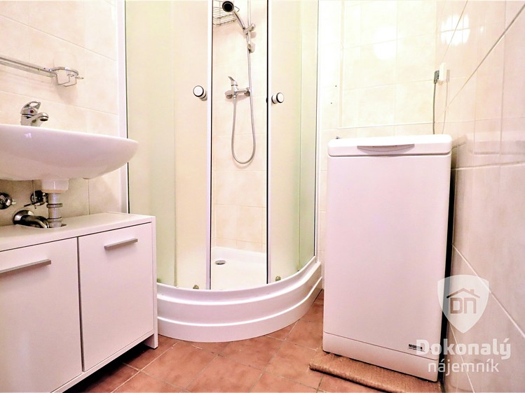 Pronájem bytu 1+kk 39 m² - foto 6