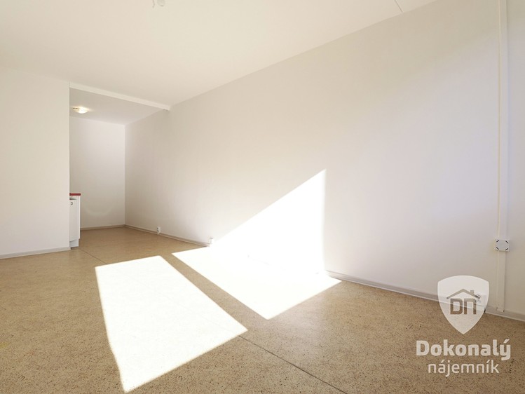 Pronájem bytu 2+kk 45 m² - foto 6
