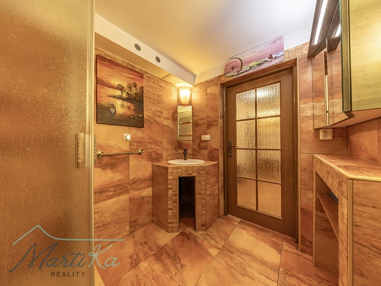 Prodej  rodinného domu 350 m², pozemek 9 285 m² - foto 8
