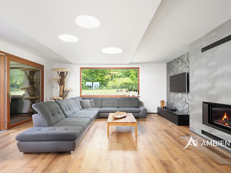 Prodej  rodinného domu 276 m², pozemek 4 040 m² - foto 4