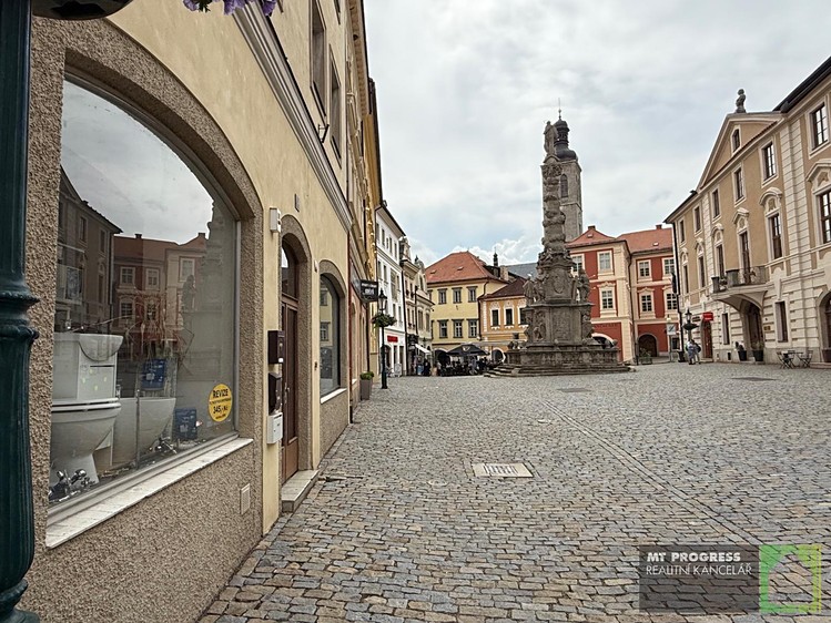 Prodej  rodinného domu 500 m², pozemek 362 m² - foto 4