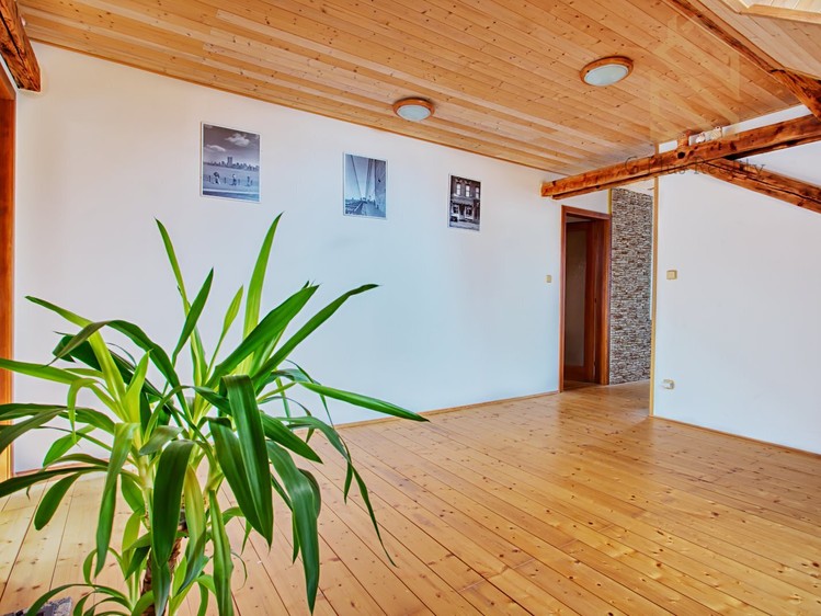 Prodej rodinného domu 240 m², pozemek 2 680 m² - foto 5