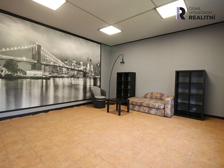 Prodej rodinného domu 705 m², pozemek 1 300 m² - foto 7