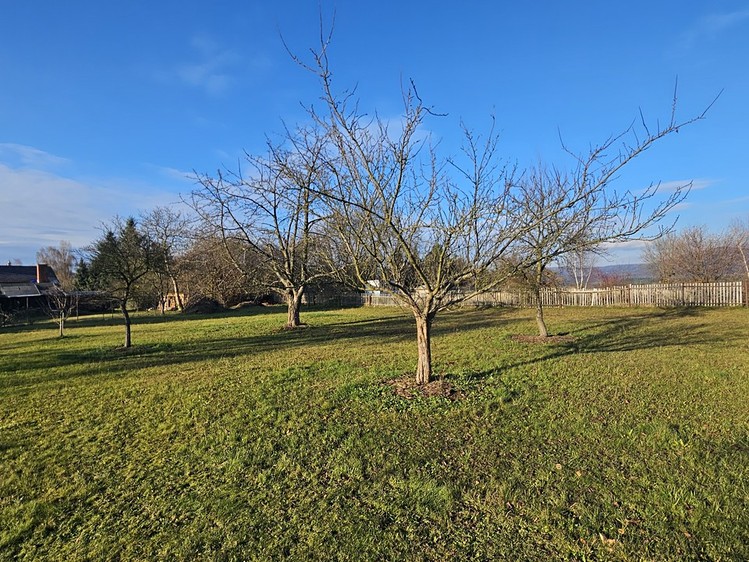 Prodej rodinného domu 350 m², pozemek 2 537 m² - foto 7