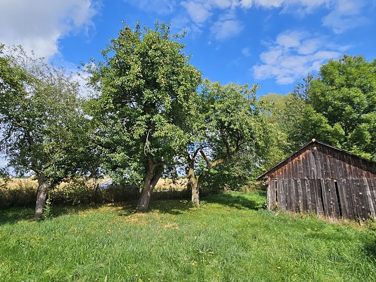 Prodej chalupy 100 m², pozemek 775 m² - foto 6
