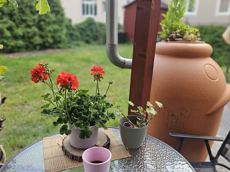 Prodej rodinného domu 400 m², pozemek 434 m² - foto 4