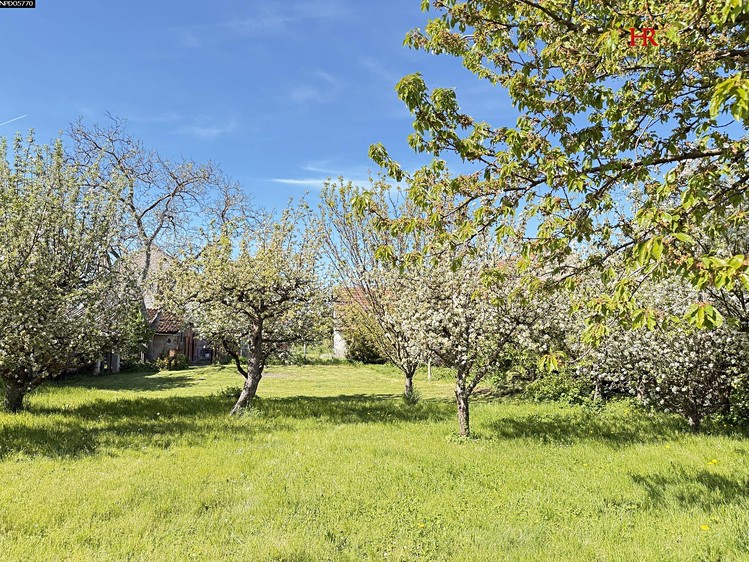 Prodej  rodinného domu 110 m², pozemek 1 111 m² - foto 3