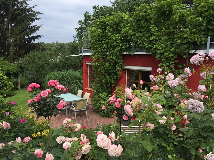 Pronájem rodinného domu 80 m², pozemek 100 m² - foto 4