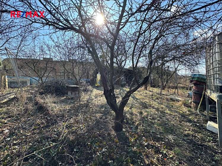 Pronájem  chaty 30 m², pozemek 426 m² - foto 8