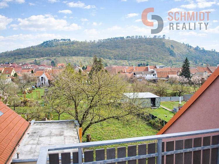 Pronájem  rodinného domu 320 m², pozemek 781 m² - foto 3