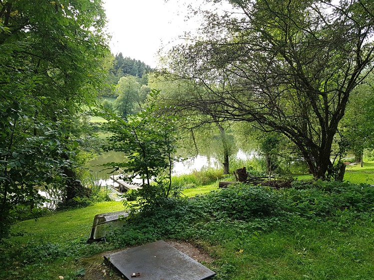 Pronájem  chaty 55 m², pozemek 21 m² - foto 6
