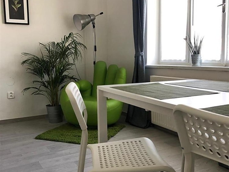 Pronájem rodinného domu 55 m², pozemek 55 m² - foto 6