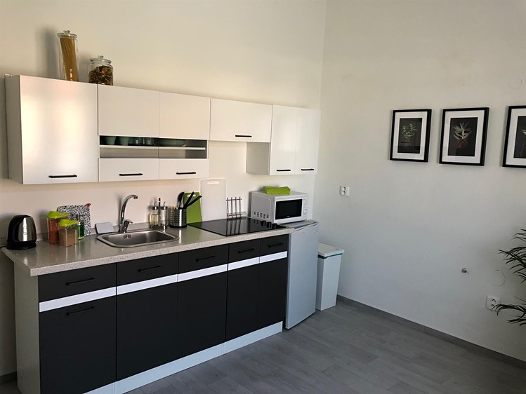 Pronájem rodinného domu 55 m², pozemek 55 m² - foto 8