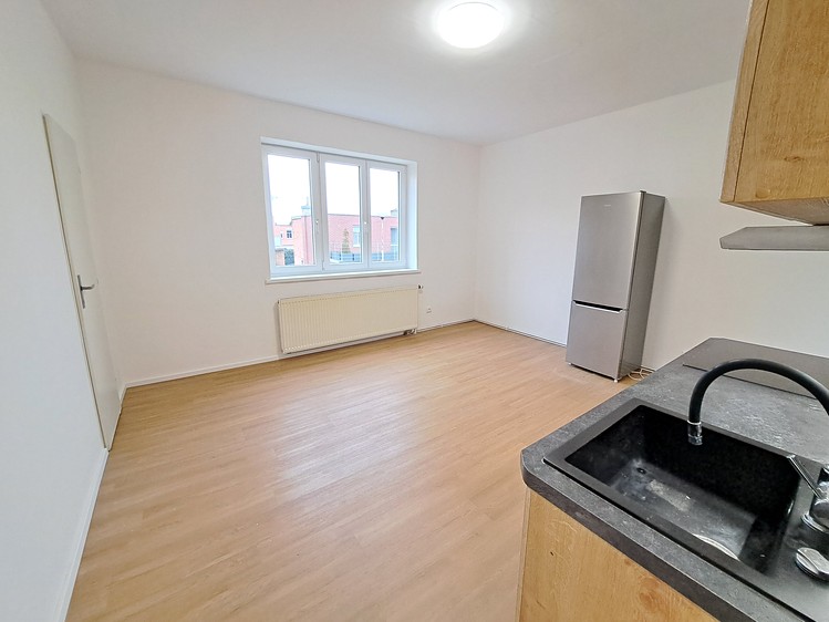 Pronájem rodinného domu 50 m², pozemek 100 m² - foto 3