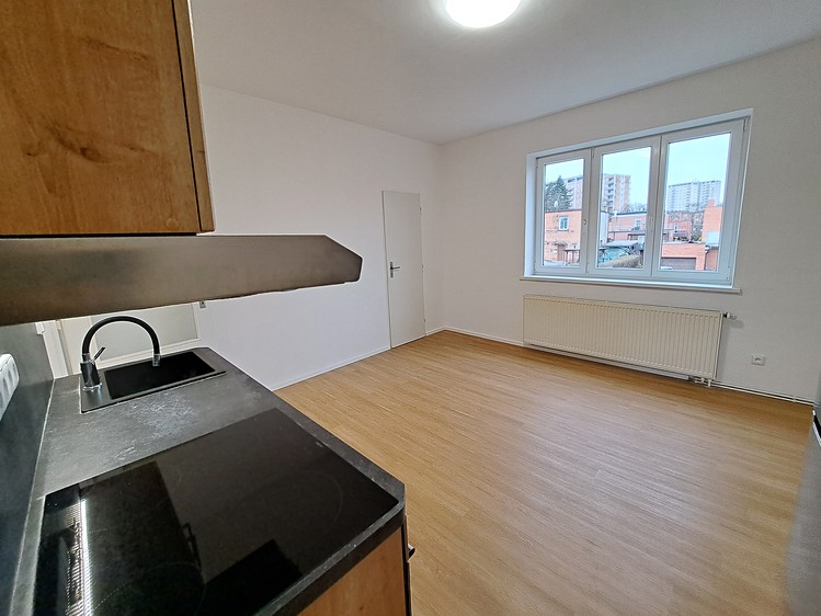 Pronájem rodinného domu 50 m², pozemek 100 m² - foto 4