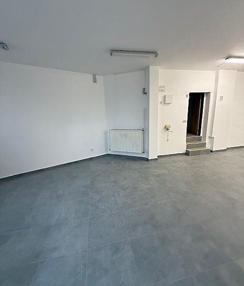 Pronájem vícegeneračního domu 490 m², pozemek 306 m² - foto 4