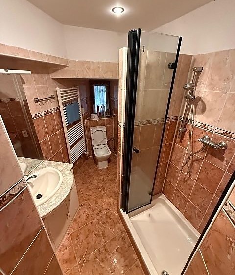 Pronájem vícegeneračního domu 490 m², pozemek 306 m² - foto 6